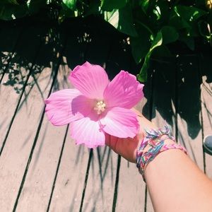 Meet your Posher, Ellie